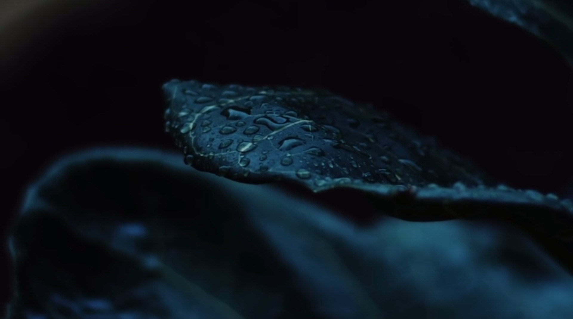 Глубинное общение с архитипами